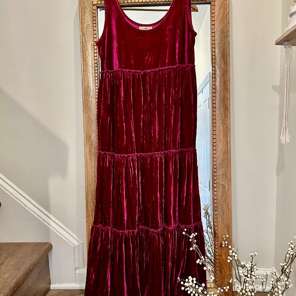 Natural Life Karlie Velvet Maxi Dress in Berry - Medium